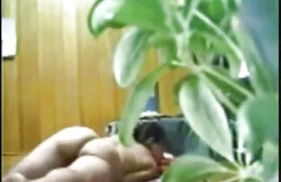 XXX Armenia puas epilator, mengubah segala sesuatu bokep tante gemuk cantik oranye.