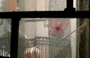 XXX Pohon merah video bokep ibu gemuk besar.
